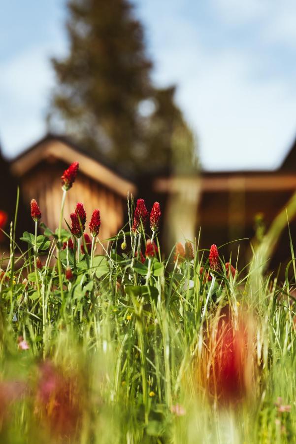 Hideaway Hotel Montestyria Chalets & Suiten Mariazell Esterno foto